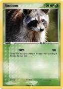 Raccoon