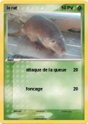 le rat