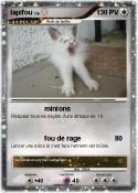 lapifou