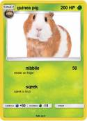 guinea pig