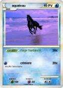 aquateau