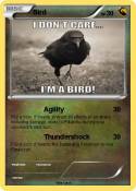 Bird