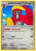 gorllia monkey