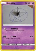 Dead Fly