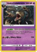 Hydra Collabera