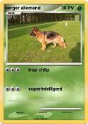 berger allemand