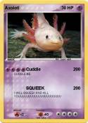Axolotl
