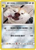 MY DOG