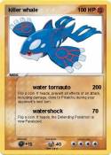 killer whale