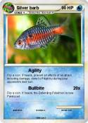 Silver barb