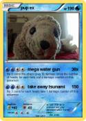 pup ex