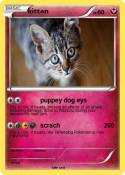 kitten