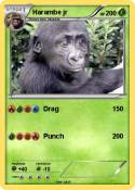 Harambe jr