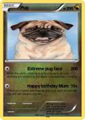 Pug