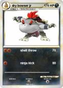 dry bowser jr