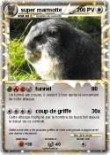 super marmotte