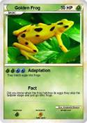 Golden Frog
