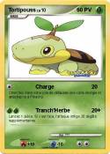 Tortipouss