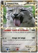 léopard time