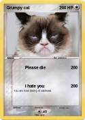 Grumpy cat