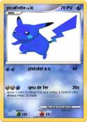picaflotte
