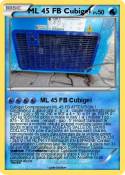 ML 45 FB Cubige