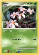 flower