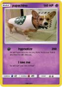 pupachino