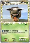 donkey