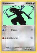 Shadow Sora