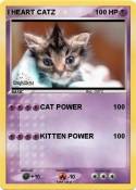I HEART CATZ