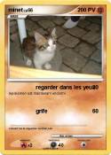 minet