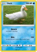 Duck