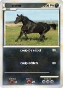 cheval