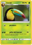 toucan