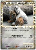 LES 2 PETIT