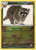 RACCOON