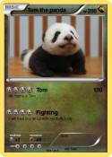 Tom the panda