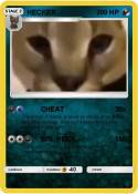 HECKER