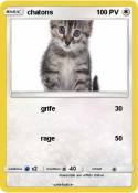 chatons