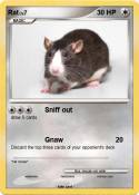 Rat