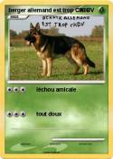 berger allemand