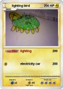 lighting bird