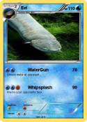 Eel