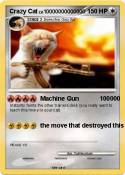 Crazy Cat