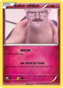 walter wildcat
