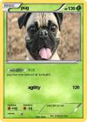 pug
