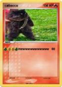 catbacca