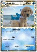 shark dog