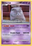 Banker Cat 621